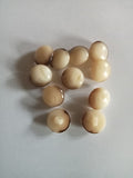 Bouton à pied plastique Vintage - 15 mm - Réf BP02
